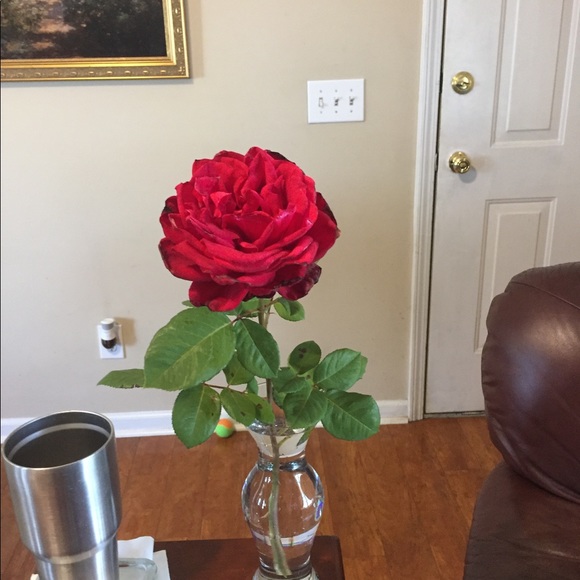 Meet your Posher, Cj - Picture 2 of 3